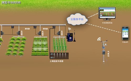 草莓移动式栽培装置 智能农业的创新实践